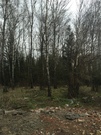 Продается земельный участок в Свитино Наро-Фоминского района Подмоск-я, 4000000 руб.