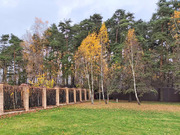 Продажа дома, Глухово, Дмитровский район, Ильинская улица, 125000000 руб.