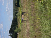 Продаю уч. 30 сот. с Семеновское, 2600000 руб.