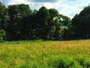 Земельный участок, площадью 30 соток в селе Турово, 2370000 руб.