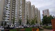 Московский, 1-но комнатная квартира, улица Бианки д.8к2, 35000 руб.