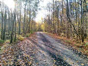 Коттедж в стиле модерн в премиальном клубном посёлке Lagry Park, 23100000 руб.