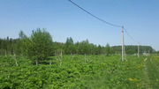 Продается земельный участок в д.Нововолково, 850000 руб.