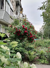 Кубинка, 2-х комнатная квартира, Кубинка-1 д.к12, 4580000 руб.