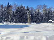 12 соток в Шапкино, СНТ Звездочка, 1600000 руб.