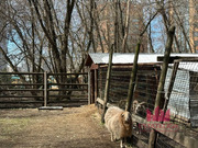 Москва, 7-ми комнатная квартира, ул. Минская д.1Гк1, 170000000 руб.