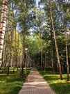 Раменское, 1-но комнатная квартира, ул.Крымская д.д.4, 2900000 руб.
