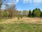 Дом в дереве Горки, 2100000 руб.