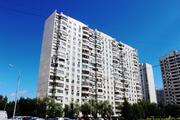 Москва, 1-но комнатная квартира, ул. Братиславская д.17 к1, 35000 руб.