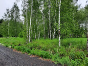 Участок 6,25 соток Леониха, 850500 руб.