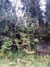 Лесной участок в д. Духанино, 1000000 руб.