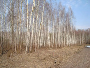 Участок 10 соток у леса в Бавыкино, 860000 руб.