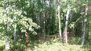 Домик в лесу, 490000 руб.