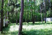 Лесной участок на Новорижском шоссе 10км. от МКАД со всеми ком-кациями, 1757142000 руб.