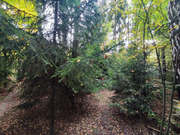 Продажа участка, Апрелевка, Наро-Фоминский район, ул. Волочаевская, 17600000 руб.