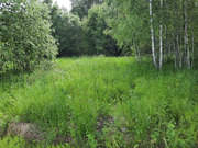 Участок 9 соток в д. Леониха, 1167750 руб.