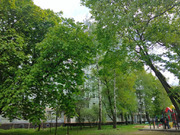 Москва, 2-х комнатная квартира, ул. Алтайская д.27, 10300000 руб.