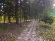 Продаю уютный дом 160м2 в красивом месте. В лесу, Киевское ш, Москва, 6450000 руб.