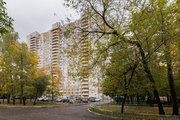 Москва, 2-х комнатная квартира, ул. Молодцова д.29 к2, 11650000 руб.