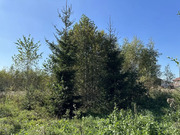 5,5 сотки ИЖС в КП Владычино, 3000000 руб.