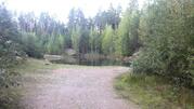 Сказочный сосновый лес и великолепное озеро, участок 8 соток, 50 км., 500000 руб.