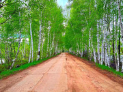 Дача в СНТ Видный, 620000 руб.