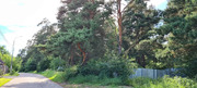 Рублево-Успенское ш. 16км. д. Большое Сареево сосновый уч 183 сотки, 115000000 руб.