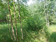 Продается земельный участок, 1900000 руб.