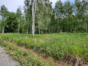Участок 12,5 соток в кп Лаос-Парк, 1440000 руб.