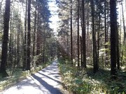 Участок у леса 14 соток в Новой Москве (Вороново), 2300000 руб.