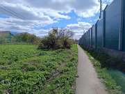 7, 9 соток ЛПХ в д. Пешки. Первая линия, 2900000 руб.