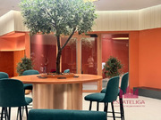 Москва, 1-но комнатная квартира, ул. Академика Волгина д.2, 22500000 руб.