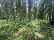 16 соток в лесу, 3200000 руб.