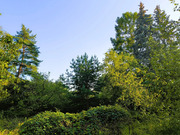 Продажа участка, Загорянский, Щелковский район, ул. Наречная, 15950000 руб.