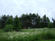 Земельный участок в жилой деревне, 650000 руб.