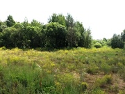 Земельный участок возле леса 19 соток д.Никульское (с.Остафьево), 7700000 руб.