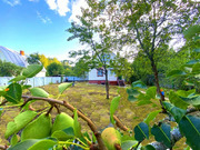 Дача в СНТ Родники, 3990000 руб.