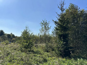 5,5 сотки ИЖС в КП Владычино, 3000000 руб.