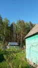 Дача с выходом в сосновый лес. 50 км от Москвы, 600000 руб.
