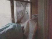 Москва, 2-х комнатная квартира, ул. 8 Марта д.д. 2/10, корп. 3, 7393275 руб.