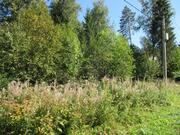 Лесной участок 25 сот, Минское ш, 32 км от МКАД, Зеленая Роща, 8200000 руб.