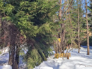 Продажа участка, Апрелевка, Наро-Фоминский район, ул. Волочаевская, 18300000 руб.