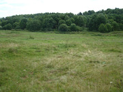 Земельный участок в д. Коровино, Наро-Фоминский район, 725000 руб.