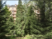 Немчиново, 3-х комнатная квартира, Сосновая д.16 стр1, 49200000 руб.