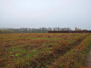 Продажа участка, Домодедово, Домодедово г. о., Московская область, 700000 руб.