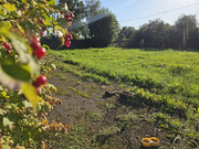 Продаю дом в д. Крутицы, 35450000 руб.