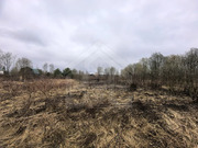 Продается большой участок 22,5 сотки, с. Степановское, 1900000 руб.