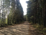 Участок крайний к лесу 8 соток 50 км от Москвы г. Павловский Посад., 500000 руб.