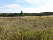 Продается земельный участок сельхозназначения вблизи д. Паткино Озерск, 4000000 руб.