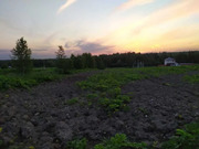 Продается 27 соток земли в д. Нововолково, Рузский район, 2400000 руб.